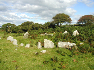 One of our bronze age hut circles.