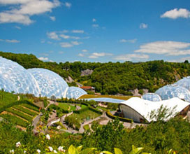 The Eden Project