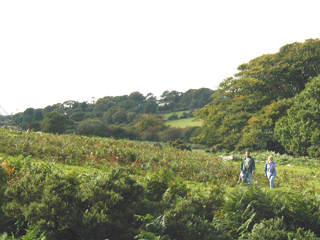 A couple enjoy the walk.