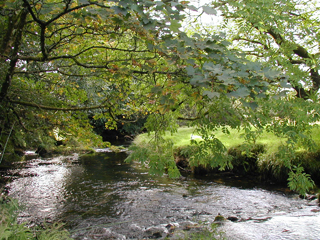 A stretch of out fishing beat.