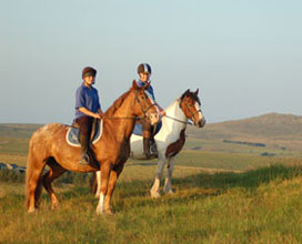 Hallagenna Riding Stables